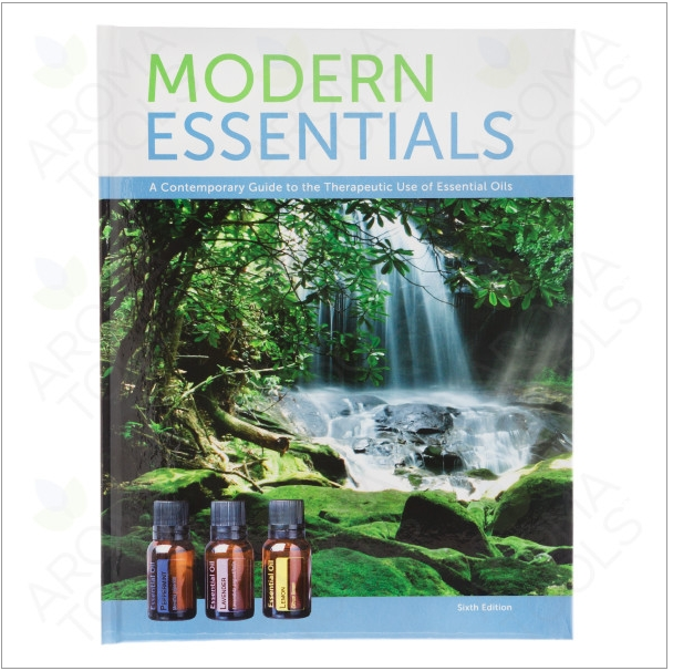 모던 에센셜 책 (영어)