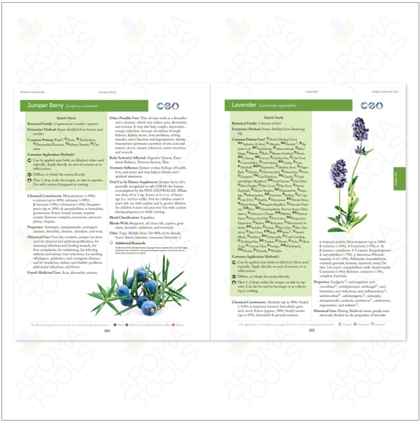 모던 에센셜 책 (영어)