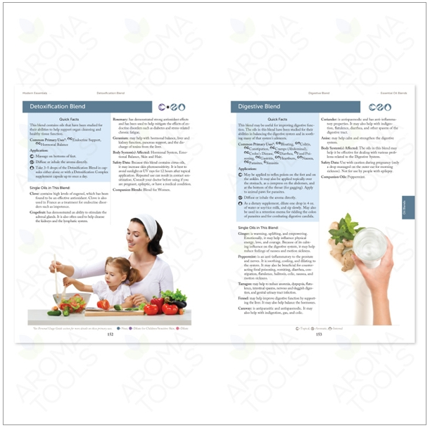 모던 에센셜 책 (영어)