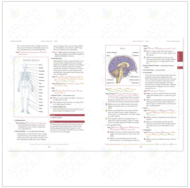 모던 에센셜 책 (영어)