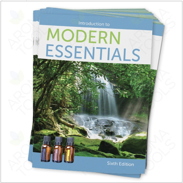 모던 에센셜 소개 소책자(영어) (10권 묶음)