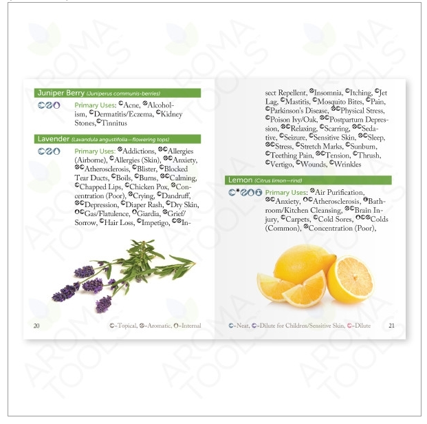 모던 에센셜 소개 소책자(영어) (10권 묶음)