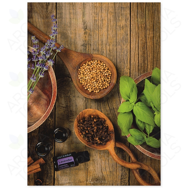 doterra로고 화일첩